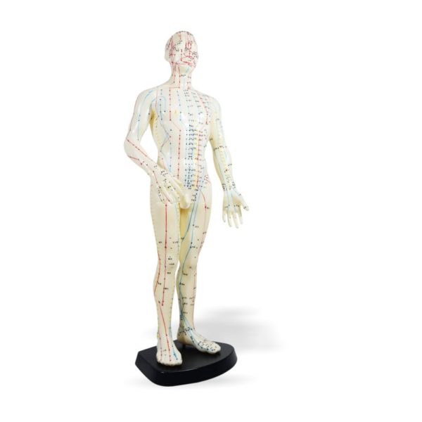 Estatua de Acupuntura Hombre - Image 2