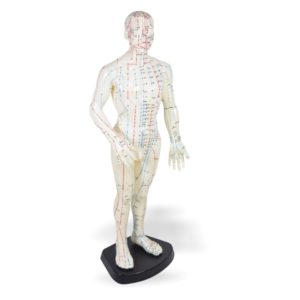 Estatua de Acupuntura Hombre