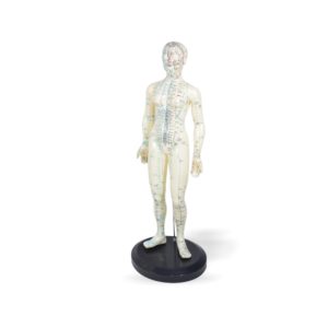Estatuilla de Acupuntura Mujer