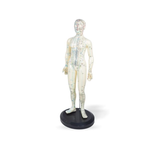 Estatuilla de Acupuntura Mujer